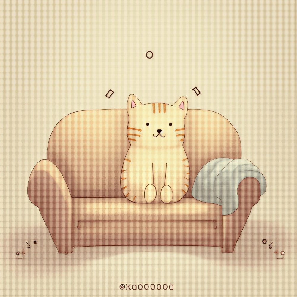 我的小猫