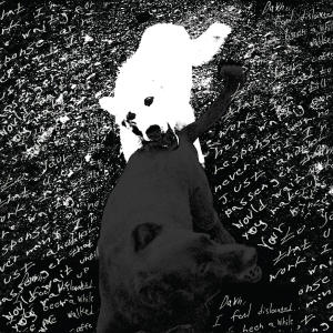 Listen to Dog's beach song with lyrics from Oran Ray