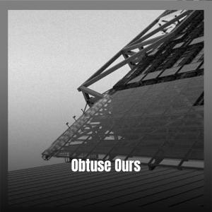Album Obtuse Ours from Various