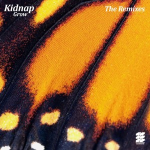 Dengarkan Grow (Dave Ralph's Opus Remix) lagu dari Kidnap dengan lirik