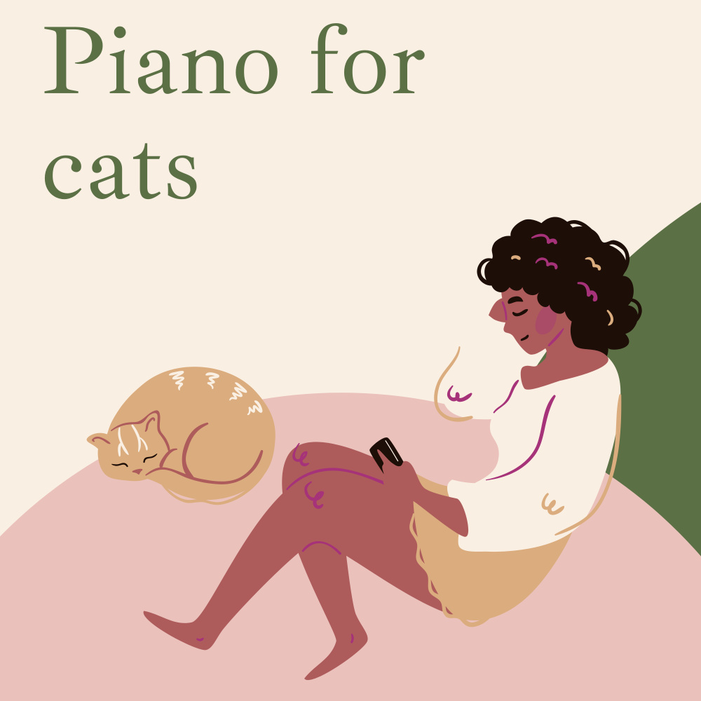 calm piano cats light