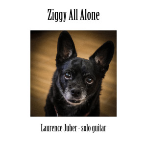Laurence Juber的專輯Ziggy All Alone