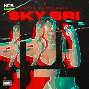 Album SKY BRI (Explicit) from 