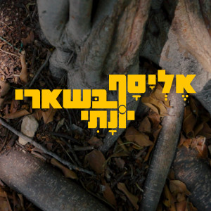 收聽Elyasaf Bashari的יונתי歌詞歌曲