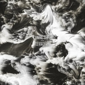 ดาวน์โหลดและฟังเพลง Thunderstorms พร้อมเนื้อเพลงจาก Canine Teeth