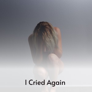 Listen to We Made Love song with lyrics from Bill Anderson