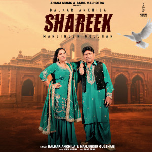 Listen to Shareek song with lyrics from Balkar Ankhila