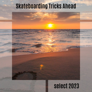 Album Skateboarding Tricks Ahead Select 2023 from Various