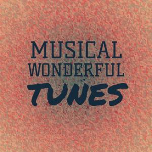 Musical Wonderful Tunes dari Various Artists