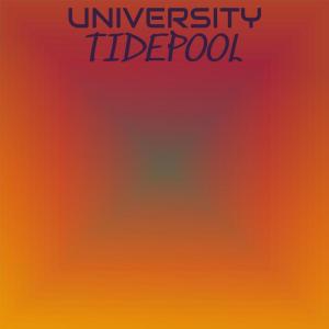 Album University Tidepool oleh Various