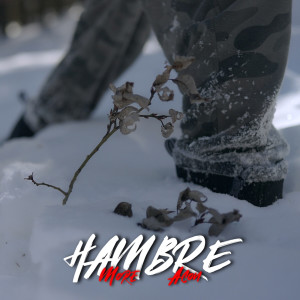 Listen to Hambre (Explicit) song with lyrics from More Zgz