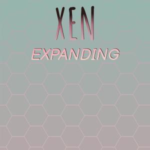 Various Artists的專輯Xen Expanding