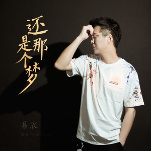 收聽易欣的還是那個夢歌詞歌曲