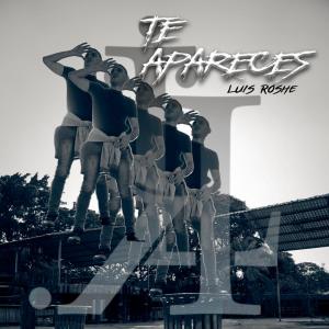 收聽Luis Roshe的Te Apareces歌詞歌曲