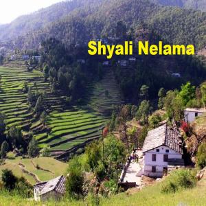 Dengarkan lagu Chawla Budhi Ma nyanyian Traditional dengan lirik