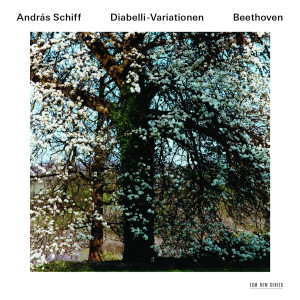 ดาวน์โหลดและฟังเพลง Beethoven: 33 Piano Variations In C, Op.120 On A Waltz By Anton Diabelli - Variation 22 (Allegro molto): Alla "Notte e giorno faticar" di Mozart (Franz Brodmann Fortepiano) พร้อมเนื้อเพลงจาก Andras Schiff