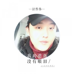 Listen to 我的悲伤没有眼泪 (伴奏) song with lyrics from 计哲伟