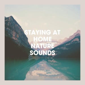 Album Staying at Home Nature Sounds oleh Echoes of Nature