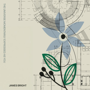 James Bright的專輯The Universe Momentarily Expressed As You