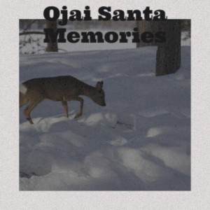 Dengarkan lagu Santa's Hooked on Country Music nyanyian Jimmy Flynn dengan lirik