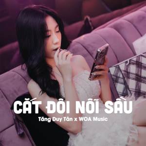 Album Cắt Đôi Nỗi Sầu (Beat Vinahouse) oleh Tăng Duy Tân