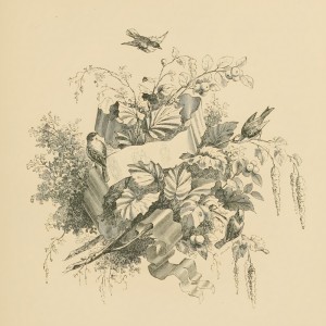 Album Sweet Memories from Rui Fujishiro
