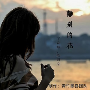 Listen to 离别的花 (完整版) song with lyrics from 丁奇炜