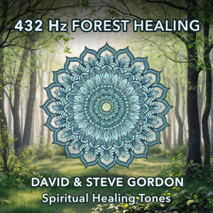 Album 432 Hz Forest Healing from David & Steve Gordon