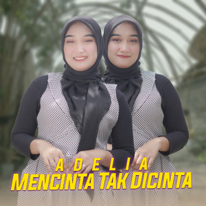 Album Mencinta Tak Dicinta from Adelia