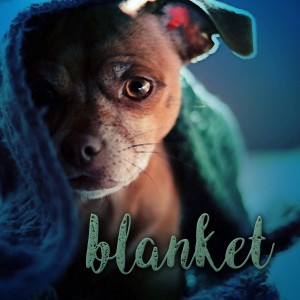 BadKat的專輯Blanket