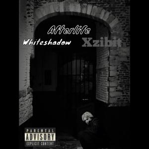 收聽WhiteShadow的Afterlife (feat. Xzibit) (Explicit)歌詞歌曲