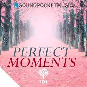Album Perfect Moments from Various