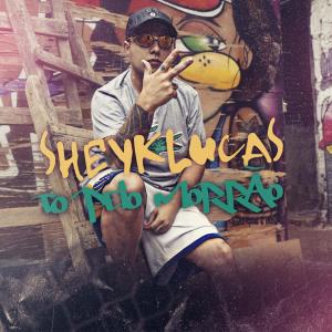 Listen to To Pelo Morrão song with lyrics from SheykLucas