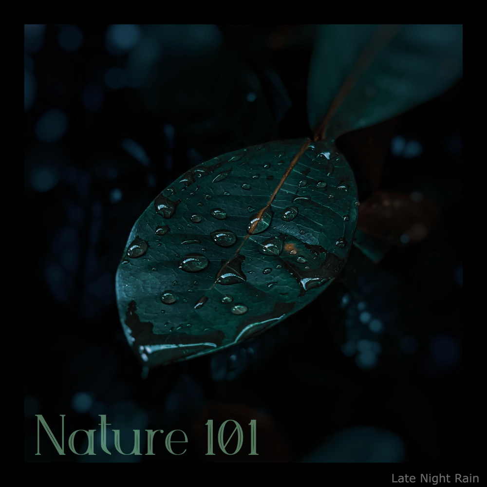 Refreshing Rain