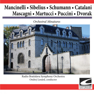 收聽Radio Bratislava Symphony Orchestra的Notturno No. 1歌詞歌曲
