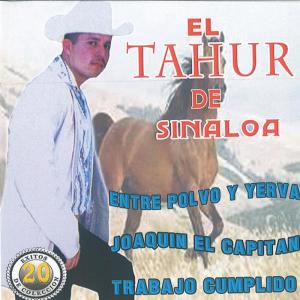 ดาวน์โหลดและฟังเพลง El Condor พร้อมเนื้อเพลงจาก El Tahur de Sinaloa