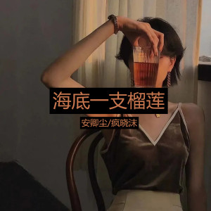 收听安卿尘的海底凤凰传奇歌词歌曲