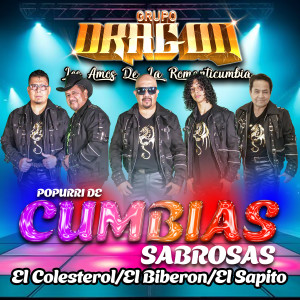 ดาวน์โหลดและฟังเพลง Popurri De Cumbias Sabrosas  :  El Colesterol / El Biberon   / El Sapito พร้อมเนื้อเพลงจาก Grupo Dragon Los Amos De La Romanticumbia