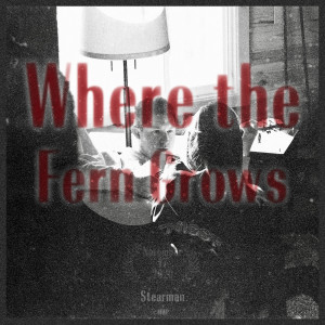 Album Where the Fern Grows oleh Stearman