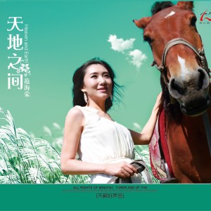 Album 天地之间 from 范海荣