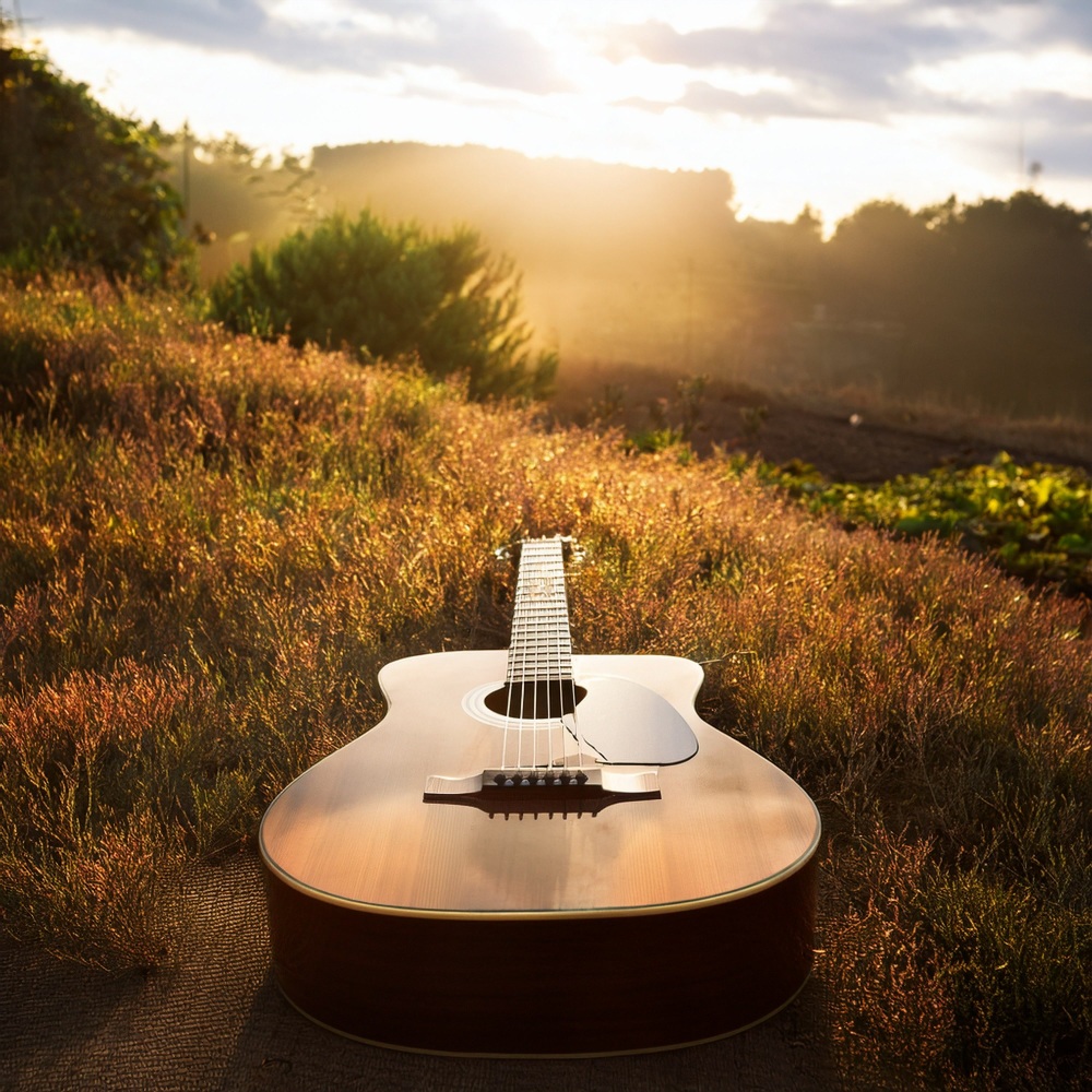 The Gentle Touch of Restful Music