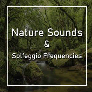 收听Nature Sounds的Ocean Waves and Solfeggio 963 Hz歌词歌曲