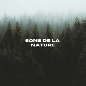 Sons De La Nature的專輯Sons De La Nature