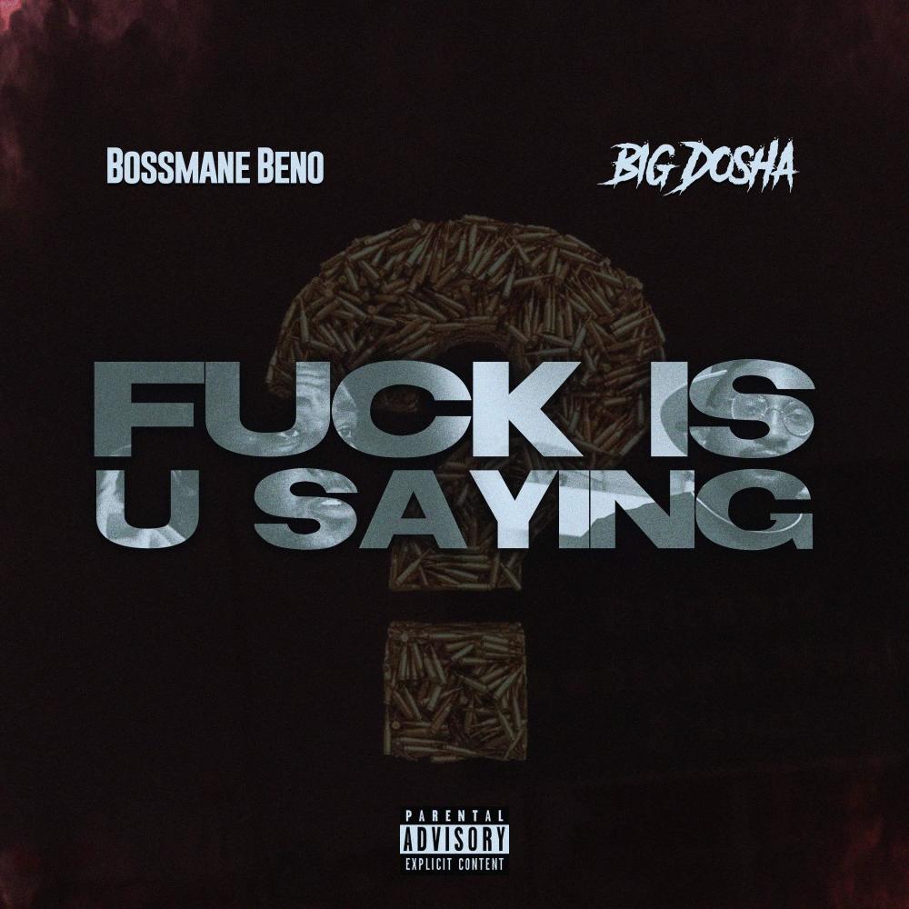 **** is u sayin (feat. Big Dosha) (Explicit)