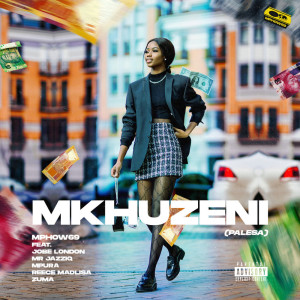 Album Mkhuzeni (PALESA) (Radio Edit) (Explicit) from Mphow69