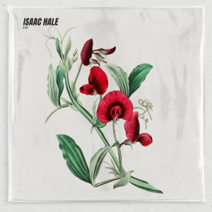 Dengarkan STAY lagu dari Isaac Hale dengan lirik