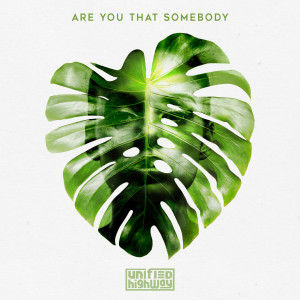 Listen to Are You That Somebody song with lyrics from Unified Highway