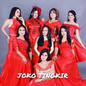 Dengarkan Joko Tingkir lagu dari New Pallapa Official dengan lirik