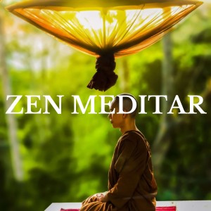 收听Meditar的EXHALE LA TENSION歌词歌曲