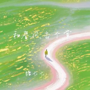 Album 和春风击个掌 from 糖七七